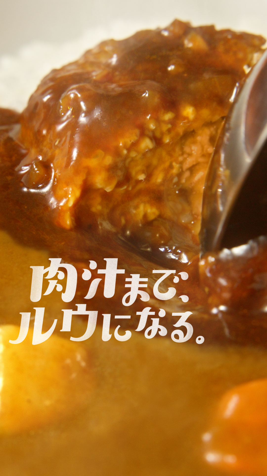 煮込みハンバーグカレー（15秒）