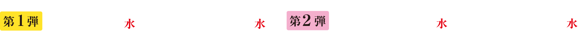 第1段 2月1日(水)AM9:00 〜 2月22日(水)AM8:00 第2段 2月22日(水)AM9:00 〜 3月15日(水)AM8:00
