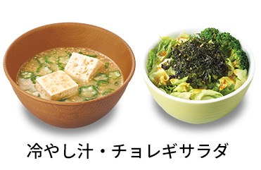冷やし汁チョレギサラダセット
